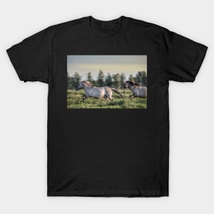 Be home before the dawn T-Shirt